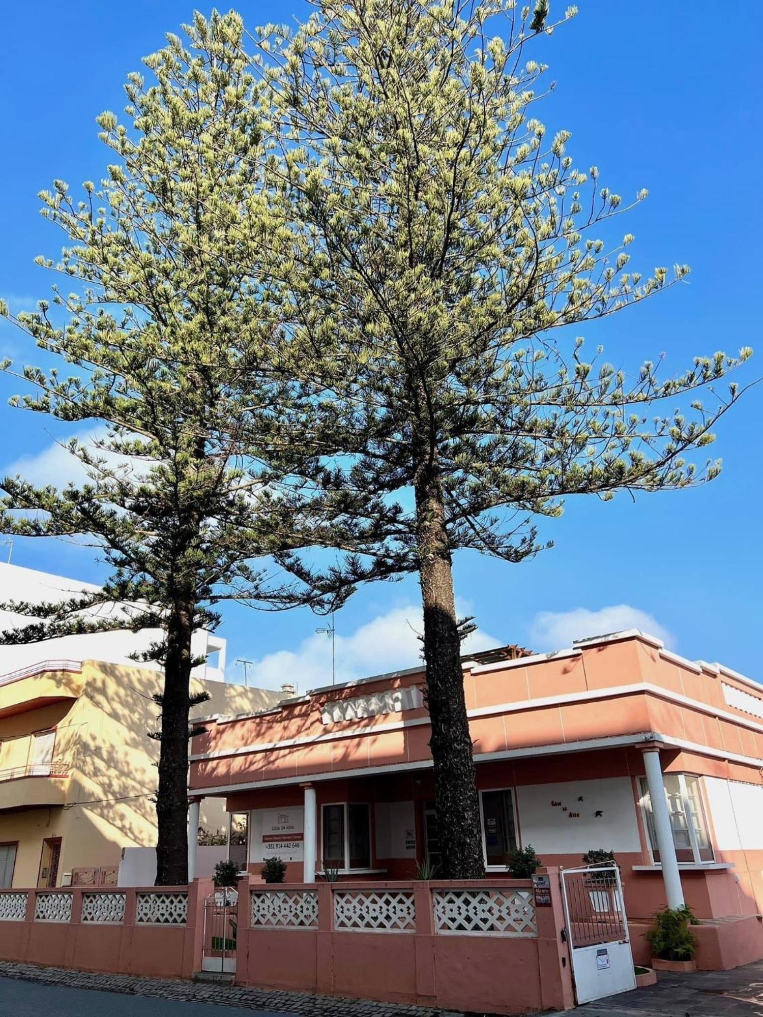 Apartament Casa Da Aida Fuseta Zewnętrze zdjęcie